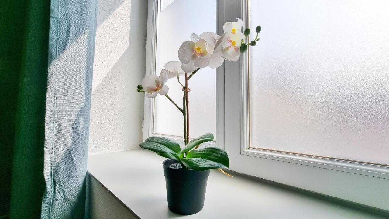 Chez Jm - Calme - Chic - Fibre - Relax Bnb Mulhouse Eksteriør billede