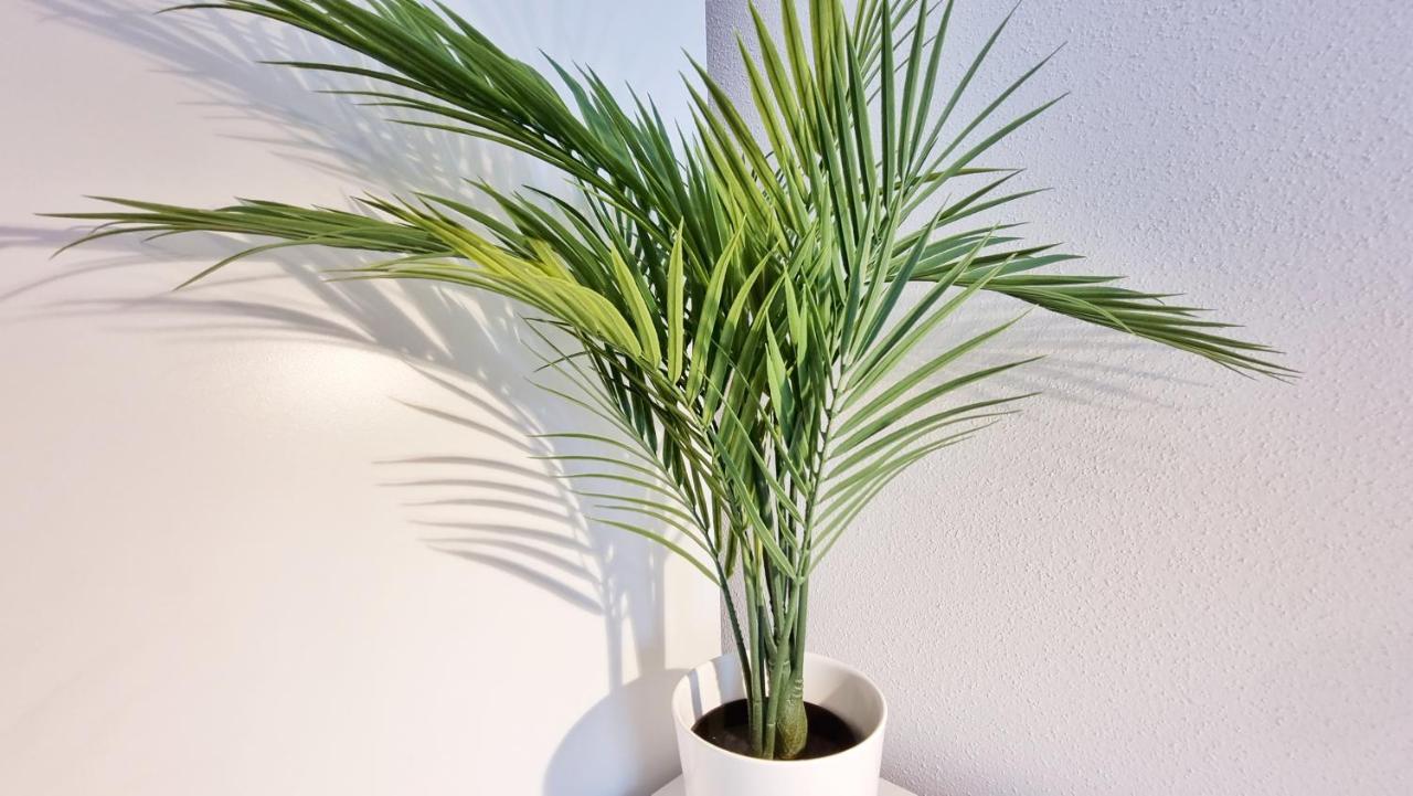 Chez Jm - Calme - Chic - Fibre - Relax Bnb Mulhouse Eksteriør billede